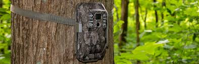We did not find results for: Review Of Moultrie S New X6000 Cellular Trail Camera By Bowsite Com