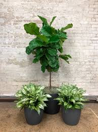 We did not find results for: Event Rentals Interiorscapes