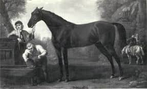 The horse was originally named robert burns, but john tayloe, iii changed his name to sir archie in honor of his friend who owned a half interest in the colt, captain archibald randolph. The Death Of The Thoroughbred Triumvirate