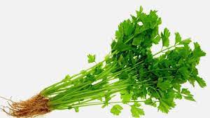 Pronunciation of selom with 2 audio pronunciations, 1 meaning, 1 translation and more for selom. Daun Selom In English