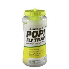 Wasps Insect Pest Control At Lowes Com