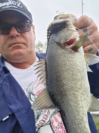 Rolled oysters and kingfish