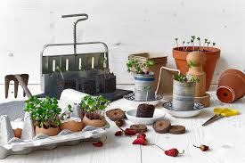 Garten fehlen, denn es gibt nichts besseres als gemüse aus dem eigenen garten. Aussaatgefasse Fur Gemuse Und Pflanzen 10 Schone Ideen Parzelle94 De