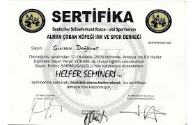 Sertifikalar Www Istanbulkopekegitimi Com Kopek Egitimi Egitim Yener
