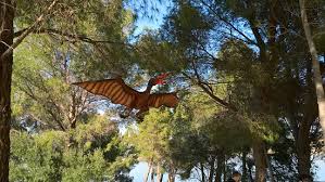 Ultimasaurus is a hybrid from the cancelled kenner toy line jurassic park: Cearadactylus Dinosaur Istres Picture Of Dinosaur Istres Tripadvisor