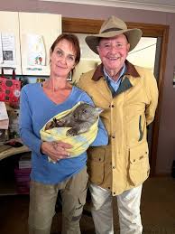 Tv vet dr harry cooper talks for the first time about the breakdown of his marriage to his second wife. Better Homes And Gardens Vet Dr Harry Visits A Wombat Sanctuary Near Canberra Where The Hairy Marsupials Are Cared For Illawarra Mercury Wollongong Nsw