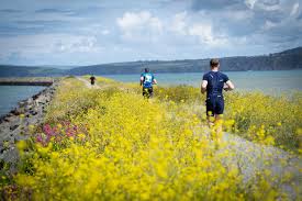 2:29 dave gibbs recommended for you. First Timer Guide Triathlon First Triathlon Guide