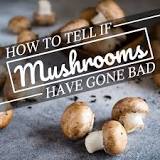 How do you know if a portobello mushroom has gone bad?