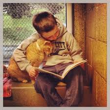 Here S That First Picture Again Because It S Just Too Perfect Cat Shelter Animal Rescue League Kids Reading