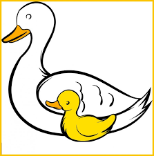 Bebek adalah burung air berukuran sedang yang terkait dengan burung air lainnya bebek adalah hewan omnivora yang memakan tanaman air, ikan kecil, serangga dan. 99 Sketsa Bebek Paling Unik Paling Menarik Wkwkwk Sindunesia