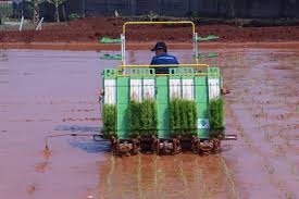 Pada zaman dahulu adalah sebuah serial animasi cgi berupa kisah dongeng yang juga merupakan judul serial televisi kedua dari les' copaque production. Dampak Modernisasi Pertanian Petani Semakin Tertarik Memanfaatkan Alsintan Agrofarm