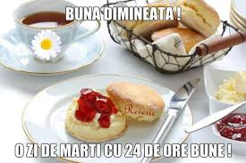 Si racii se bucura de. Lisnic Grup Srl Mun Chisinau Str Academiei 1 Chisinau 2021