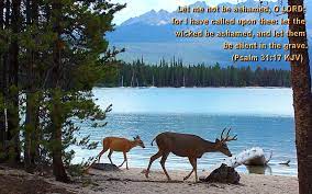 We created 50 custom christian desktop wallpaper designs to brighten up your computer and inspire you throughout the day. Bible Quotes About Nature Beauty Quotesgram