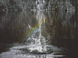 Moon water magic can be the perfect cleansing and purifying. Full Moon In Cancer A Water Ritual The Space In Between