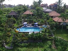 Best area to stay in ubud: Where To Stay In Ubud Bali For Any Budget Taylor S Tracks