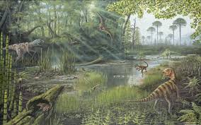 Image result for Thesium equisetoides