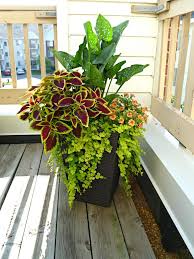 Pin By Dee Dickson On Outdoor Living Garden Containers Container Garden Design Container Gardening