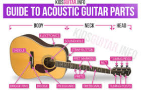 Check spelling or type a new query. Acoustic Guitar Parts Diagram Kids Guitar