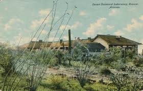 Global Imaginary of Arid Lands: Early Twentieth- Century United States  Botanists in Africa