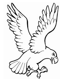 Birds of prey coloring pages with zentangle vector falcon bird hawk prey stock vector royalty free 8. Bird Of Prey Coloring Page 1001coloring Com