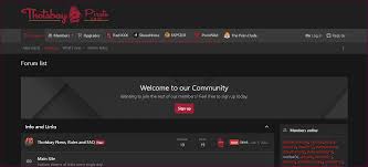 Thotsbay Forum Review & 12 Best Porn Forums Like forum.thotsbay.com