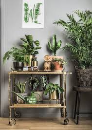 60 Plant Stand Design Ideas For Indoor Houseplants Page 53 Of 67 Lovein Home House Plants Decor Plant Decor Interior Plants
