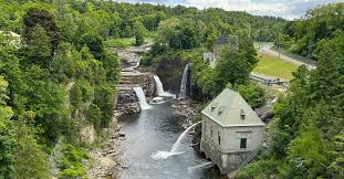 Image result for Chascanum