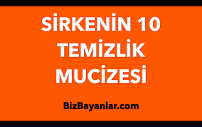 Sirkeli Temizlik Panosundaki Pin
