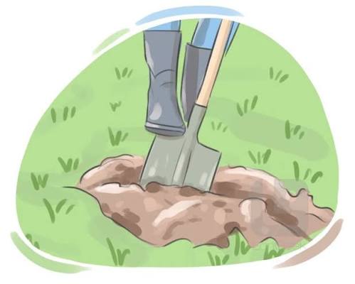 Definition & Meaning of "Dig" in English | Picture Dictionary 🇬🇧