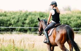 Human positions refer to the different physical configurations that the human body can take. Solutions To Common Horse Riding Position Faults Pets4homes