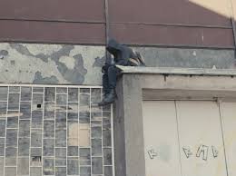 Sing me to sleep is a song by norwegian record producer and dj alan walker. Your Edm Premiere Alan Walker Sing Me To Sleep Your Edm