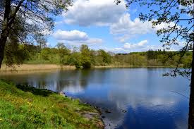 Facebook is showing information to help you better understand the purpose of a page. Dreifelder Weiher Wikipedia