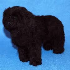 Pin On Dolls And Plushies