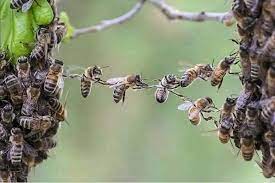View ratings, photos, and more. First Choice Pest Management Home Facebook