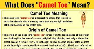 What does camel hair mean? Camel Toe Meaning Learn The Definition Of The Slang Term Camel Toe 7esl