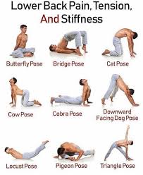 Pin On Yoga Poses
