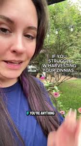 ✨I like to leave my flowers for the pollinators as long as possible. I also  like to harvest them to dry and enjoy in the house. Harvesting zinnias make  the plant more productive and I get to enjoy ...