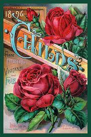 Childs Seed Catalog Cover 1896 In A Set Of 4 4x6 Quilt Blocks By American Quilt Blocks Ferry Seed Pa Vintage Seed Packets Vintage Flowers Flower Seeds Packets