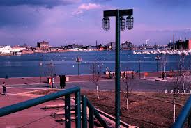 Image result for Rouge Marina 1986 UMM