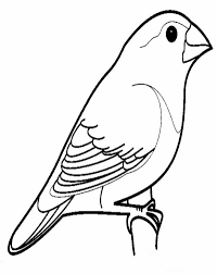 Hitam dan putih, satu warna, cokelat, hari natal, patung, seni, sketsa, ilustrasi, kepala, sinterklas, natal motif, nicholas, gambar kartun. 98 Gambar Hewan Kartun Burung Cikimm Com