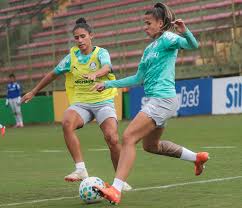 Taubaté x Palmeiras pelo Paulistão F: saiba informações e onde assistir ao jogo