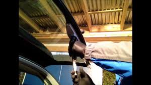 Последние твиты от denis kostin (@seizedwf). Bmw E91 Rear Wiper Repair Seized Stiff Binds Jammed Touring Glass Estate 318 320 3 Series 5 E46 Video