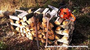 Before you put your firewood up for sale, you'll need to pay close attention to customer demand. How To Start A Firewood Business Youtube