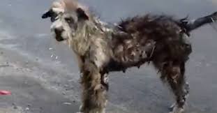 This user hasn't answered any questions yet. Nnbkm7l3xmq9fm