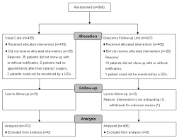 Patient Flow Chart Gdx Nerve Fiber Analyser Download