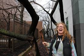 In fact, when the hot weather arrives, expect your yard to be decorated in. Philly In Bloom Cherry Trees Redbuds And The Franklinia Whyy