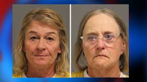 Woman nearly bitten by tiger after hopping fence at zoo, sticking her hand  in pen