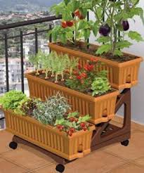Pin On Gardening Tips For Beginners