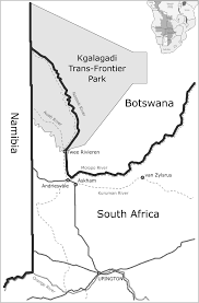 Image result for Nolletia zambesica