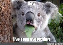 Meme: "Now I've seen everything" - All Templates - Meme-arsenal.com